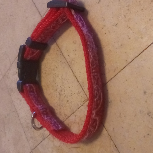 Dog Collars size Medium NEW No Tags - Picture 5 of 6